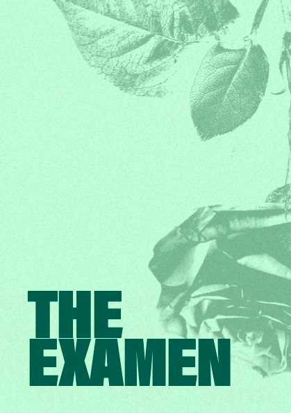 The Examen