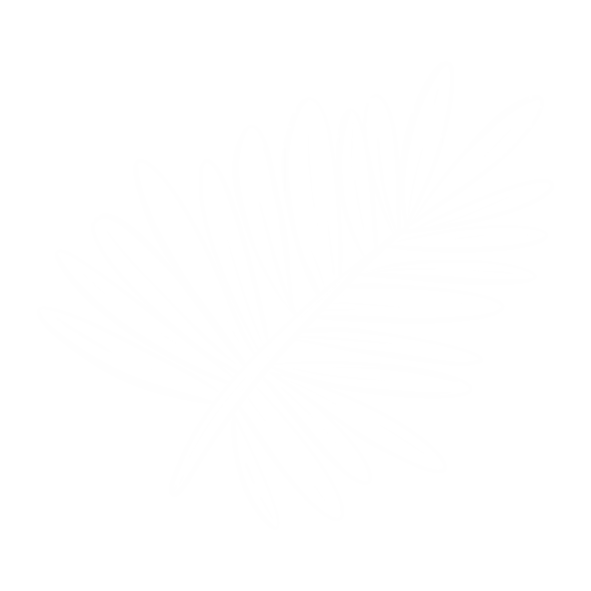 An outline image of the palm frond